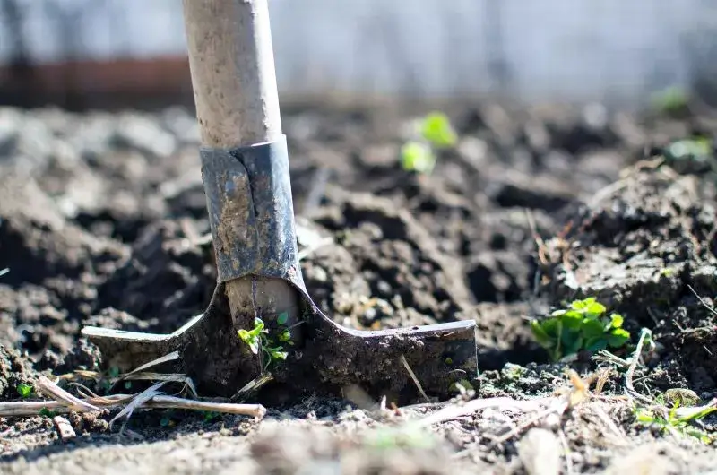 shovel planted in farm dirt